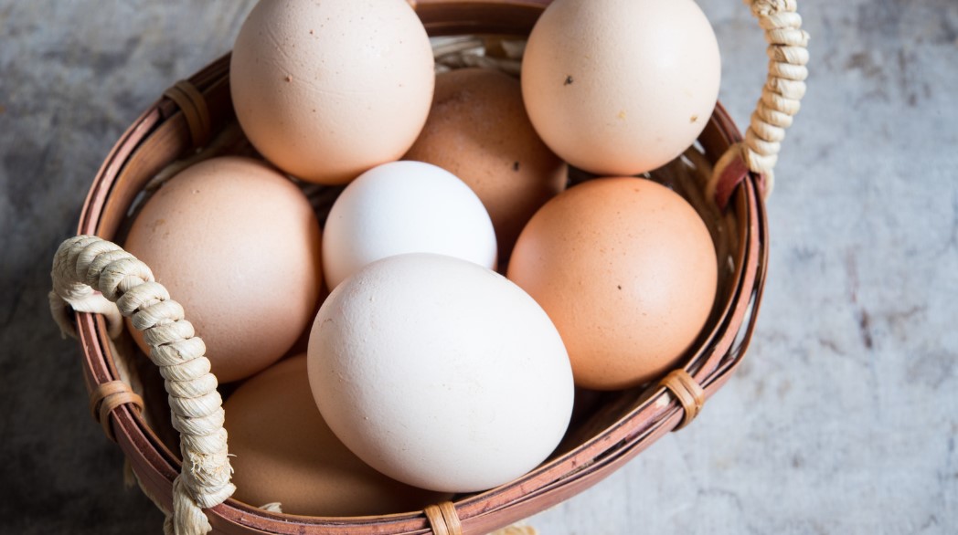 How to Tell if Eggs Are Bad? – 5 Easy Ways