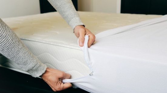 How to Prevent Bed Bug Reinfestation