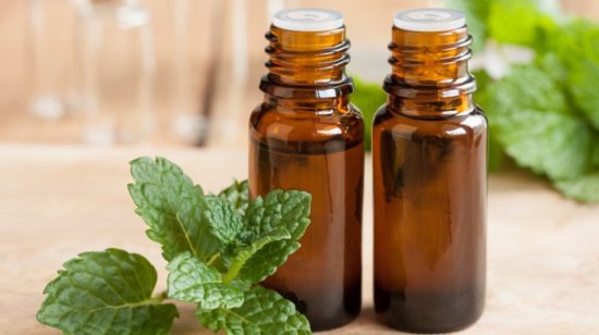 Use Essential Oils Like Eucalyptus and Peppermint