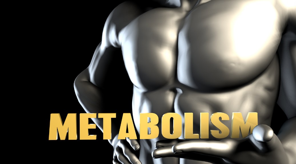 How to Speed Up Metabolism? | Metabolic Mastery